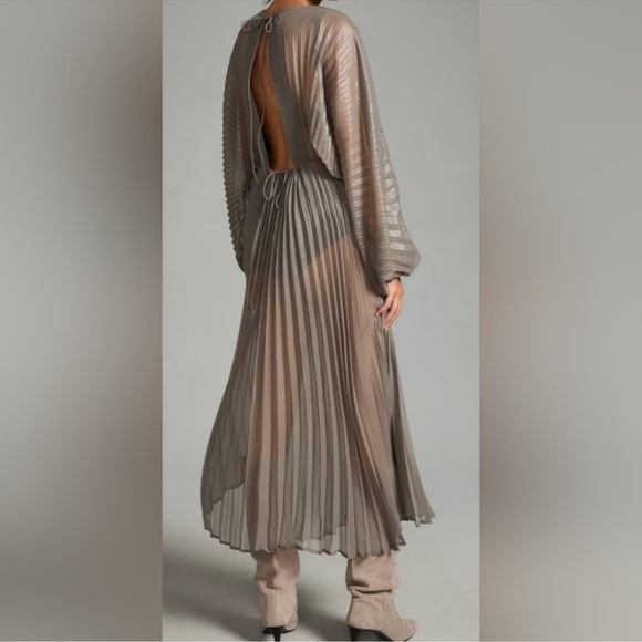 Anthropology pleated sliver dress - Picture 4 of 7
